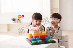 創(chuàng)意互動(dòng)系列形色邏輯積木