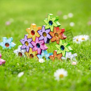 拼搭類3D 寶石花朵